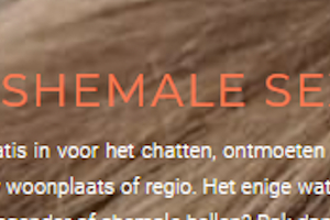 https://www.shemale-sex-dating.nl/